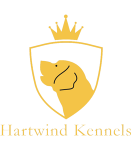 Hartwind Kennels